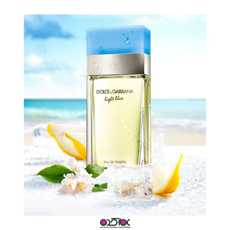 عطر dolce gabbana light blue